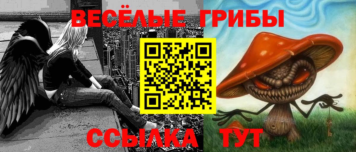 Псилоцибиновые грибы мухоморы Полевской