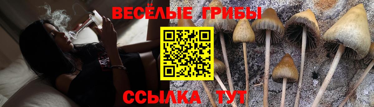 Галлюциногенные грибы MAGIC MUSHROOMS  где можно купить наркотик  Полевской  Галлюциногенные грибы прущие грибы  Вход с VPN 